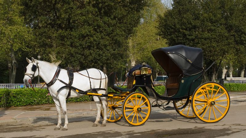 Paseo en calesa o coche de caballos por Sevilla