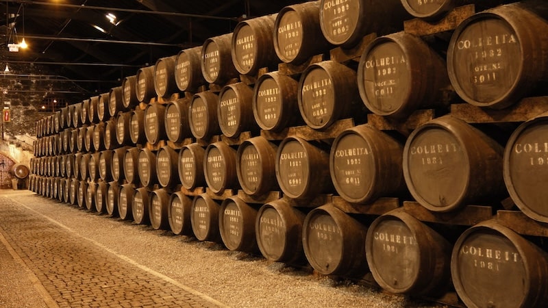 Qué hacer en Barcelona bodega y degustación de vinos